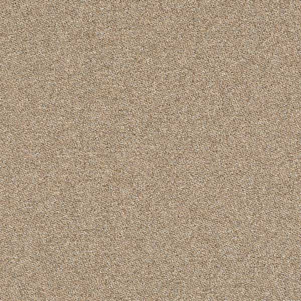 Woolly 262