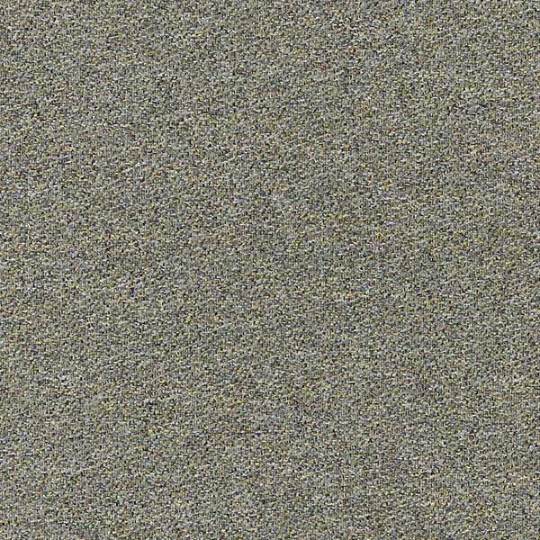 Woolly 684