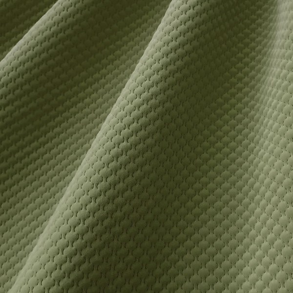 Sota olive